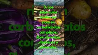 Sabias que?? los Tub&eacute;rculos son...