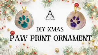 Make adorable Christmas Paw Print Ornaments WITH YOUR DOG DIY!