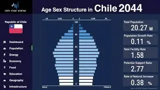 Chile - Changing of Population Pyramid & Demographics (1950-2100)