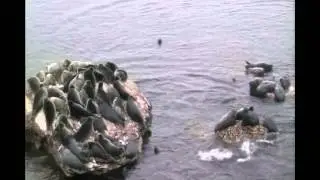 2011 Июль №2