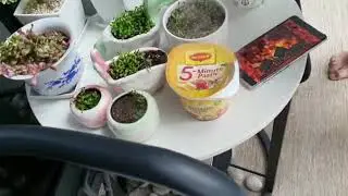 Magic Instant Pasta - here's how Singapore Magician Entertainer Tricky Patrick cooks his Pasta