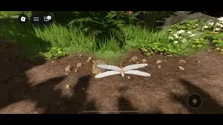 The game name &ldquo;realistic forest demo&rdquo;