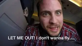 Tigers on a plane! - Vlog