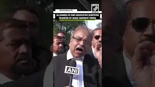 Allahabad HC Bar Association protests against Judge Yashwant Varma transfer to Allahabad HC