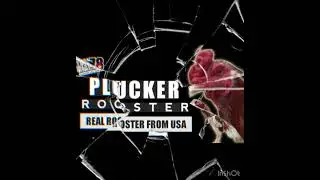 Qaib super lock plucker song number 1 in USA 