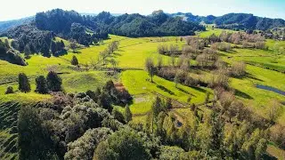 New Zealand Waitomo caves hills