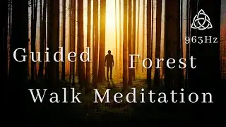 Guided Forest Walk Meditation | Calming & Relaxing Mindfulness | 963 Hz