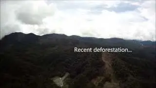 Tropical Montane Forests
