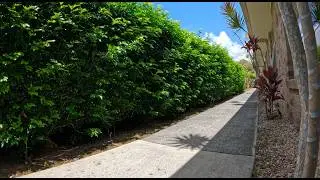 ASMR Hedge Trimming at a Nursing Home