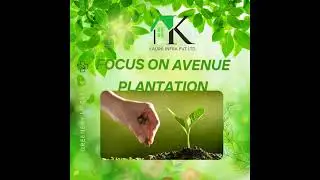 Kaura Pride Avenue Plantation