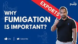 Fumigation is necessary for every Shipment! Why?
