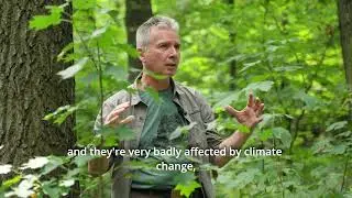 Dr Attila Borovics - Sustainable Forestry in the Face of Climate Change Challenges