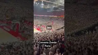 Best fans in Europe! 🔥 (basketball) #basketball #europe #fans
