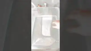 hist&oacute;ria de slime obrigada pelos 20 escrito amo muito vcs ❤️❤️