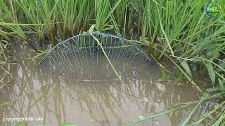 Creative Electric Fan Guard Fishing Trap To Catch A Lot Of Fish By A Smart Boy - Easy Fish Trap !