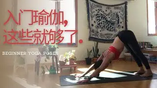 瑜伽入门必学的30+个体位演示｜了解瑜伽基础动作的中文/英文/梵文名称｜30+beginner basic yoga poses｜初學瑜伽必學動作｜