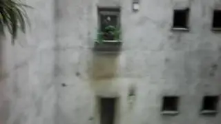 O bolta cereasca