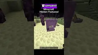 Hidden Features in Minecraft!🤫#minecraft #gaming #secret #fypシ゚viral #fyp #viral #fypage #easteregg