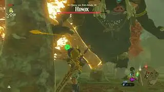 #botwshorts stasis block a hinox