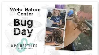 BUG DAY 2025 at Wehr Nature Center (Franklin, WI) | Insects, Education & Family Fun