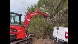 CLIENT LET US TEST DRIVE HIS TESLA! 27 tree removal! 🌲