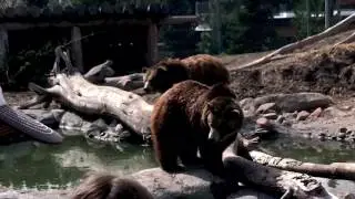 HOGLE ZOO with amazing train ride