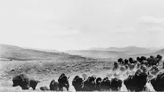Great Plains: An Environmental History