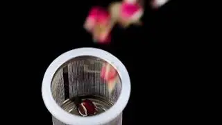 glass water bottle with tea infuser