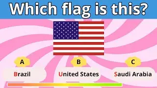 Guess the Flag Quiz 🌍 Fun Flags & Landmarks Challenge