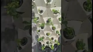 #farmingsimulator19 #greenhouse #hydroponics #vegetablespecial #gardendiy