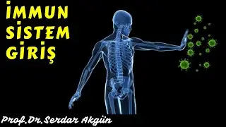 İmmunoloji, Giriş, Prof.Dr.Serdar Akgün, Serdar Akgün Tıp Videoları