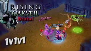 PvP в разломе и арена 1 на 1 на 1 &mdash; V Rising Oakveil