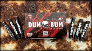 Dum Bum P1 | Náhrada za F2?