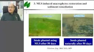 Lake restoration and eutrophication control through manipulating algal blooms in situ