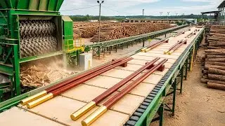 From Wood to Flame: The Matchstick Creation Process! (Best Process)