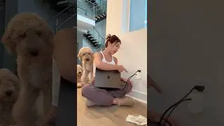 When I am trying to follow instructions 😟 #funny