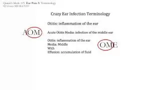 Ear Pain 3: Crazy Ear Infection Terminology