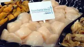 Exploramer - Fourchette bleue
