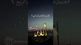 أرح قلبك وسمعك) &rlm;أم أمنتم أن يعيدكم فيه تارة أخرى آية قرآنية قصيرة حالات وتس اب#القرآن_الكريم 🕋🕋🎧