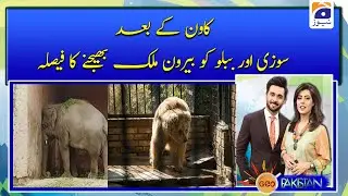 Kawan ke bad, Suzi or Bublu ko beroon e mulk bhejne ka faisla !