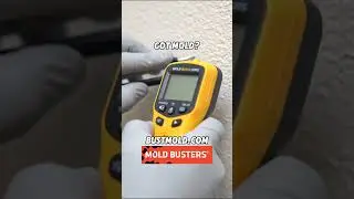Inspecting Mold on a Wall ASMR
