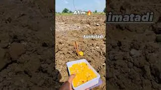 #blackgold #afimclips #afimkisan #afimkissan #afim #amal #viral #amaldar #farming #farmer #kisan