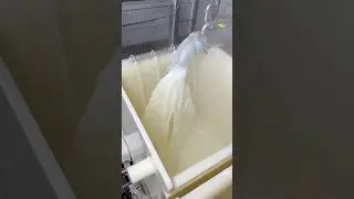 Automatic Paneer Making😱 #shortsvideo #milk