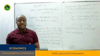 DARASA ONLINE: EPISODE 121 ECONOMICS - PUBLIC GOODS AND EXTERNALITES