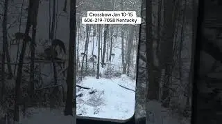 Kentucky Fully Guided Deer Hunts