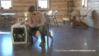 Puppy Training - Potty Training