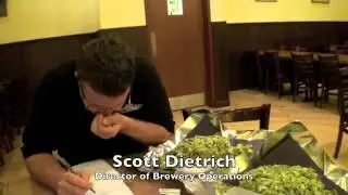 Prima Pils  Victory Brewing Company video
