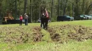 NCWHMA 2015 Championship Plowing