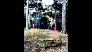 Electric Culture- The Radke Trance (Track 10)