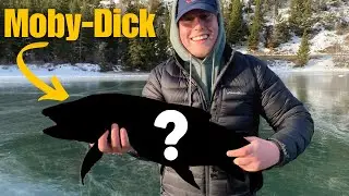 The Search For MOBY-DICK || Ice Fishing For GIANT lake Trout
